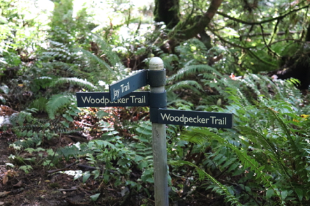 Wayfinding trail signage on Jay Trail